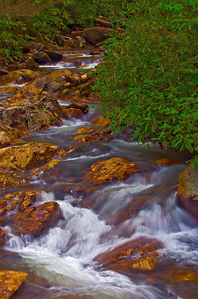 Walter Camp Prong of the Little Pigeon River Newfound Gap Road, Great Smoky Mountains Nation Park, Tennessee