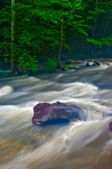 Heavy rain at the West Prong of the Little River, Tremont Section of Great Smoky Mountains National Park